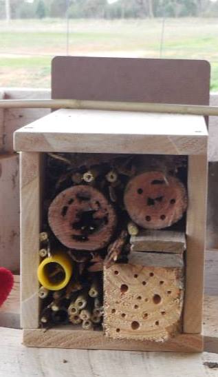 Native Bee Hotel