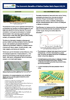 Native Shelter Belts 